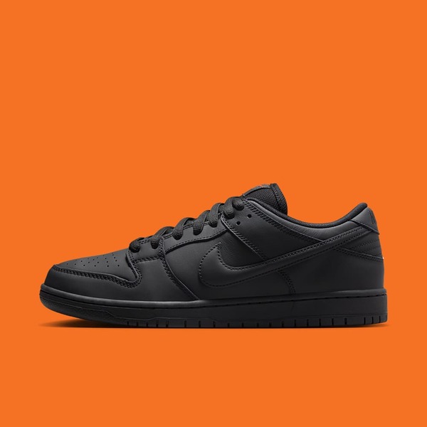 Nike SB Dunk Low Pro ISO Nike SB Dunk Low Pro ISO